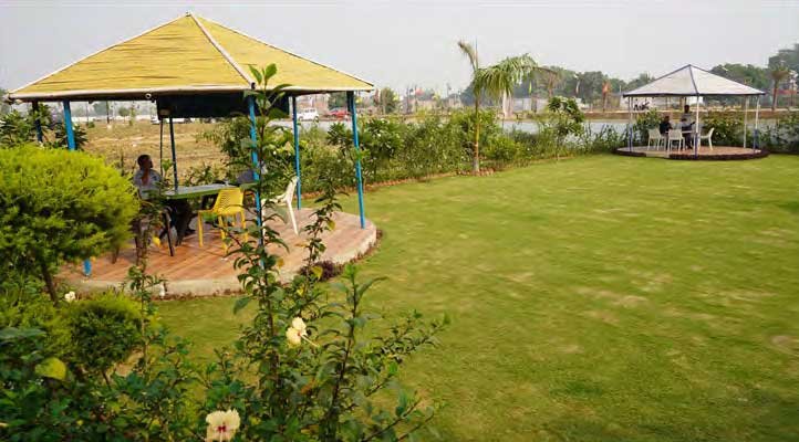 Green-Landscaping