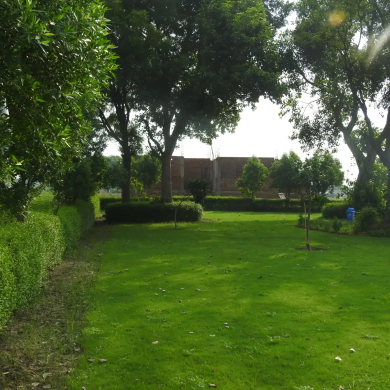garden