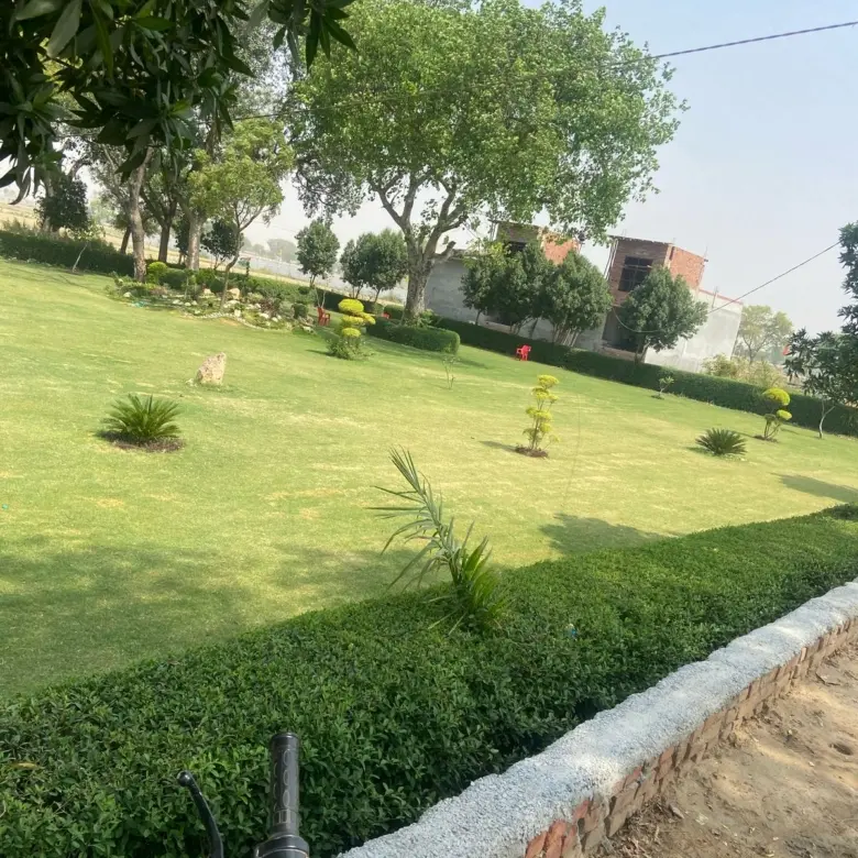 park3